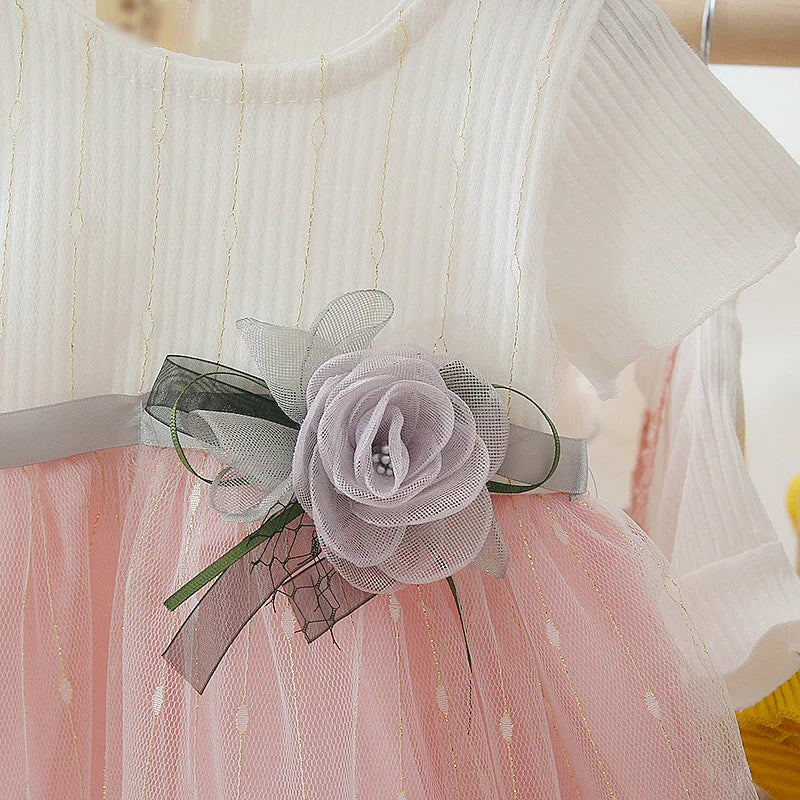 Toddler Girl Tutu Dress Summer Fashion Short Sleeve Princess Dress Cute Flower Girl Wedding Dress